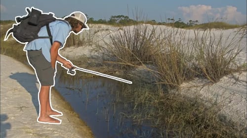Fishing in a LOST TINY CREEK!?
