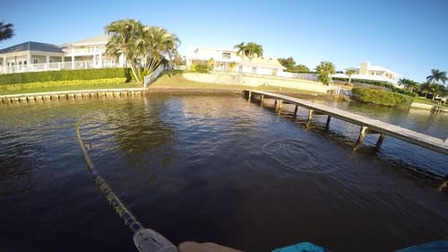 Surprise from the Docks