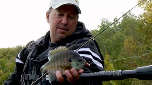 Fishing Small Waters All Electric