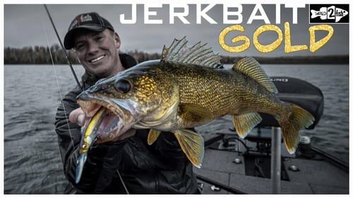 How to Long-Line Walleyes with Jerkbaits
