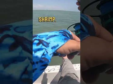 Catching a Feisty Red Fish at South Padre Island #fishing