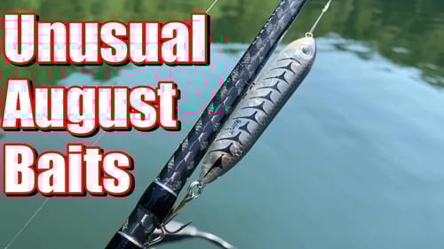 My 3 Unusual August Baits