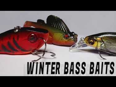 BEST BASS Baits To Catch YOU fish This Winter!