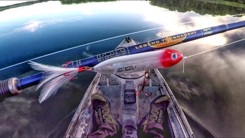 The Thrill Of Topwater Fishing