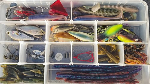 Dock Fishing In The Heat - Everything You Need To Know