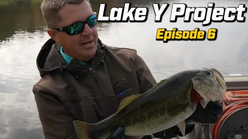 Bassmaster's Lake Y Project: Shocking survey and fish population snapshot