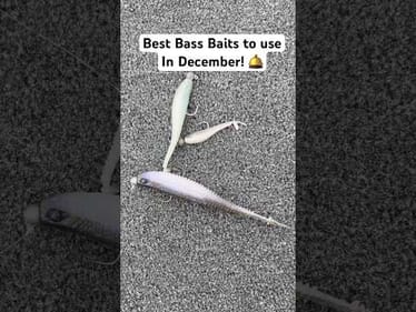 Best December Bass Baits in 2025! 🔥