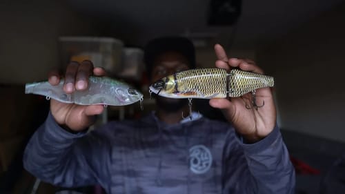 Does Color Matter When Fishing Big Swimbaits?