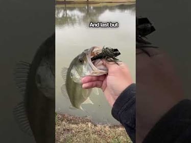 Top 3 Baits for Catching Fish in Cold Weather #fishing