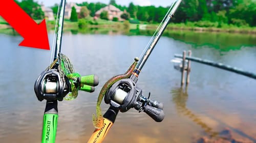 Catching ENORMOUS Bass w/ BIG Jigs & BIG Worms (Bank Fishing)