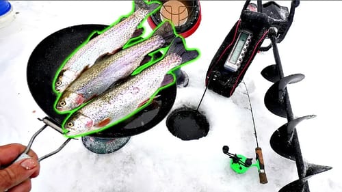 WHOLE TROUT Catch n' Cook on the Ice!!! (SO FRESH)