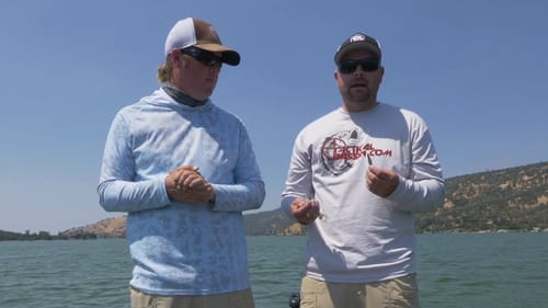 Best Baits and Colors For the Summer To Fall Transition