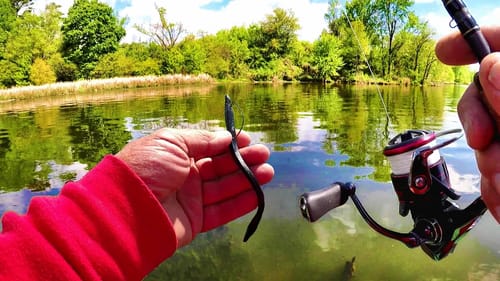 WIN Bass Fishing Tournaments With This DEADLY SECRET!!!