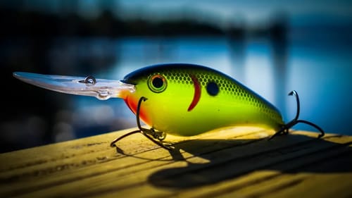 Advanced Bass Fishing Tips - How To Catch Entire Schools Of Fish!
