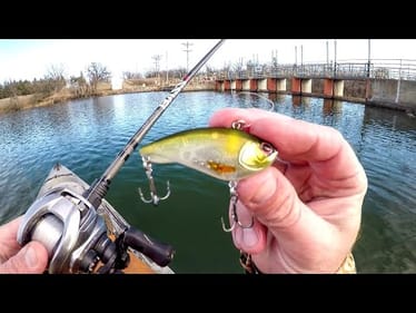 37° Water, Let's See If The Fish Are Biting!