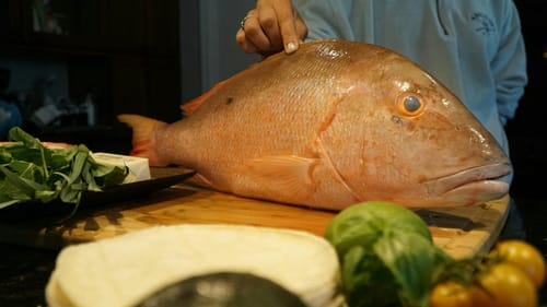 CATCH AND COOK: One of the Tastiest Fish in the Sea