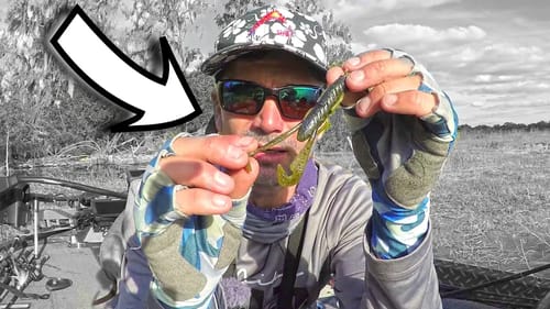 I NEVER Thought I'd FISH a NED RIG LIKE THIS!!!