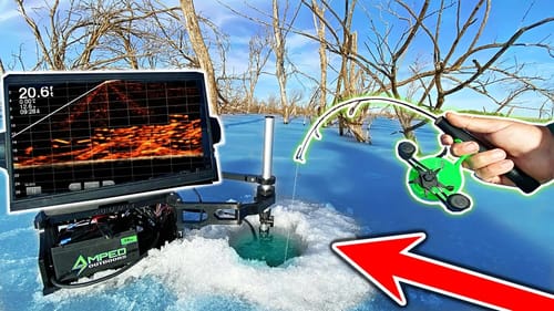 I Could NOT BELIEVE what was Hiding in this UnderWater Forest!!!