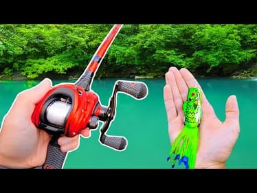 Fishing a Frog in Hidden Ponds!