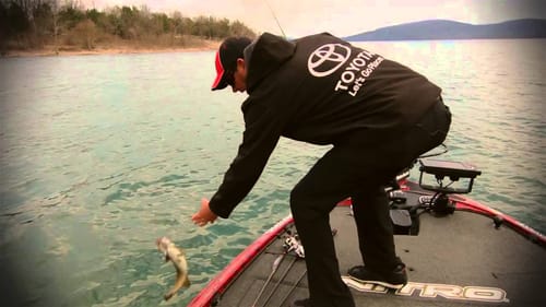 KVD on Choosing Jerkbaits Based on Conditions and Clarity