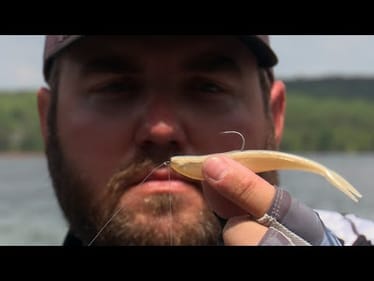 Summer Soft Plastic Jerkbait Techniques for Bass Fishing (These Work!) | Bass Fishing