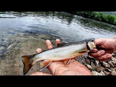 KAYAK FISHING FOR TROUT ON A BEAUTIFUL CLEAR TN RIVER