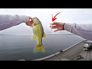 This Little Lure Does The Trick!