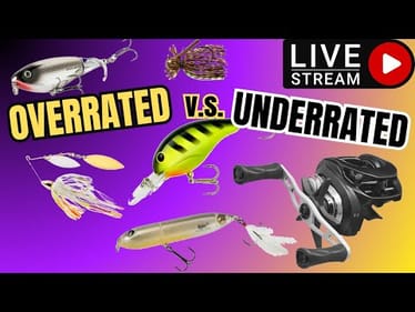 (LIVE) Overrated vs Underrated FALL Fishing