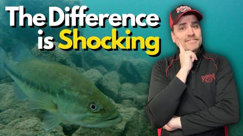 Mastering the Art of Speed in Bass Fishing