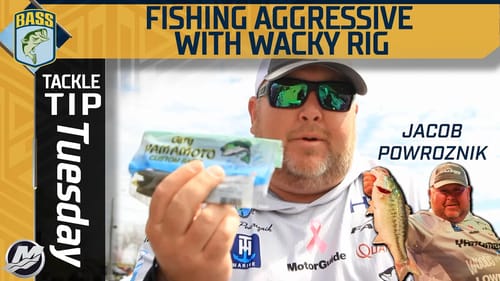 Fishing FAST for big bass with a Wacky Rig