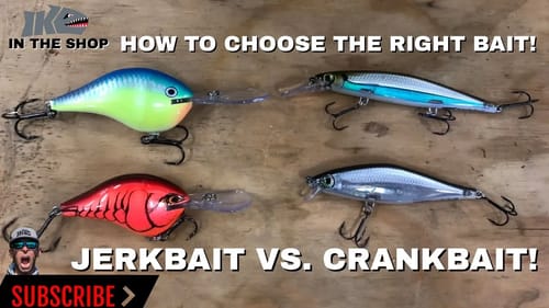 Jerkbait Vs Crankbait: How to CHOOSE the RIGHT BAIT!