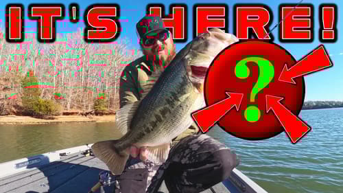 NEW TacticalBassin Lure Design! THE MICRO FLEX RIG!!!  **Full Review**