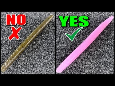 Post-Spawn Bass CRUSH This Worm—Every Time!