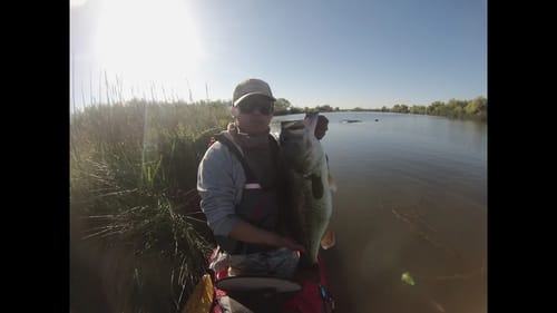Huge Bass Crushes Topwater Frog