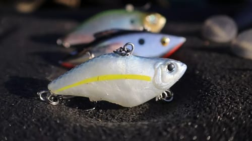 Best SPAWN fishing baits for bass! *need to know*