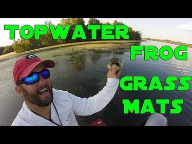 Bass Fishing with Frogs in Matted Grass