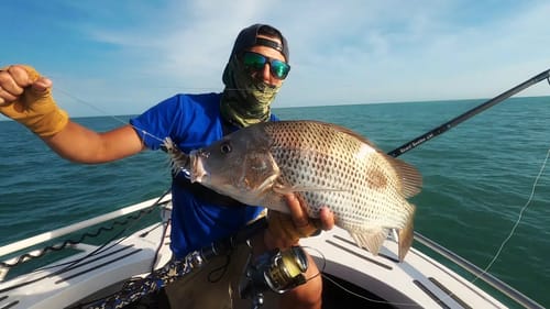 Golden Snappers Fishing in the Northern Territory   Risk It for the Biscuit Part 11