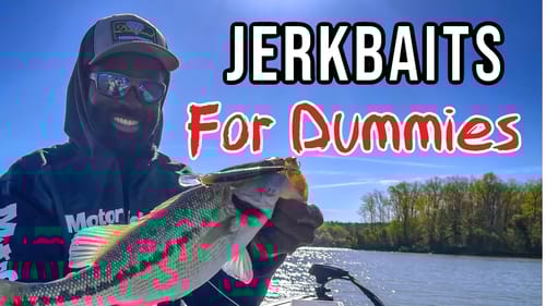 Jerkbait Fishing is very EASY!!!
