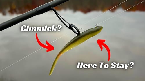 Is This Bait A Gimmick Or Does It Have Staying Power? Time Will Tell…