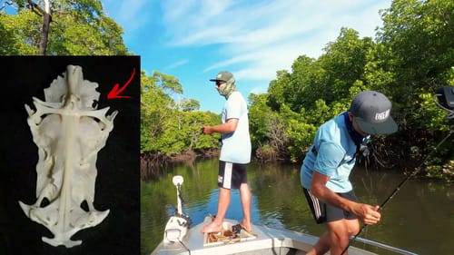 Fishing in the Mangrove Forest & Finding Jesus - Risk It for the Biscuit Part 7