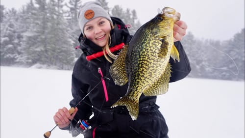 Did We Just Find Crappie Heaven!? (Trying Livescope)