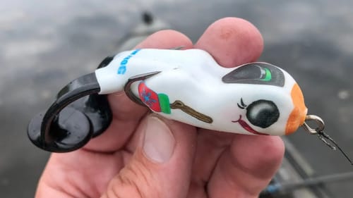 Fishing With Frosty The Scum Frog!