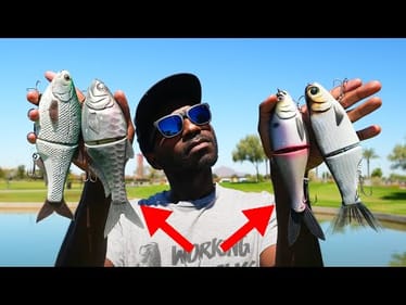 Which BIG Shad Glide Bait Is The Best On The Market? (Shocking Results!)