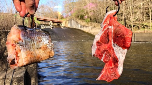 Tossing CHUNKS of MEAT in a Spillway to Catch a MONSTER!!!