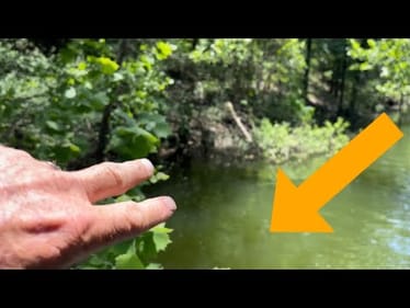 Every Stud Bass Angler Knows THIS About Summer Water Clarity