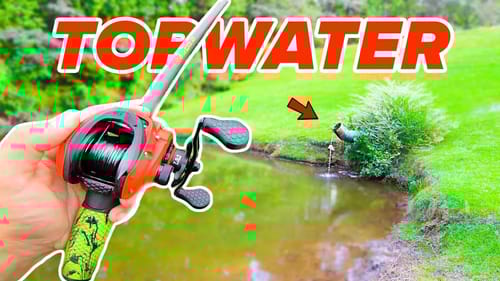 Fishing TOPWATER ONLY for BIG Bass (River Fishing)