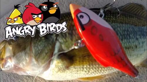 ANGRY BIRDS Lure CHALLENGE!! | Ladybass