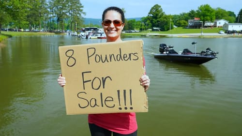 TEMPTING TOURNAMENT ANGLERS TO CHEAT (Chickamauga Lake)
