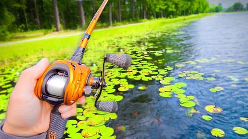 My BIGGEST Bass Catches in 2021 (Bank Fishing)