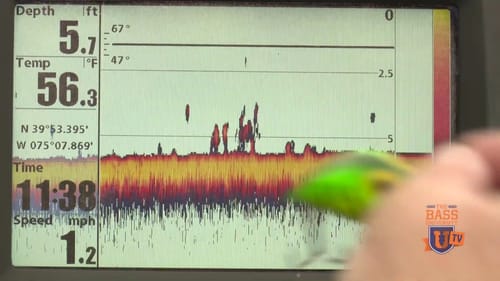I See GRASS for BASS On My Fish Finder Sonar Electronics